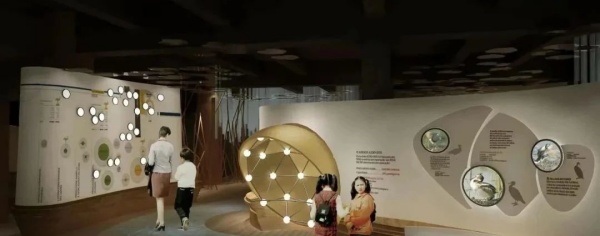 讓自然 “說話” 的博物館：生態(tài)展館設(shè)計的共生哲學(xué)與科技賦能指南