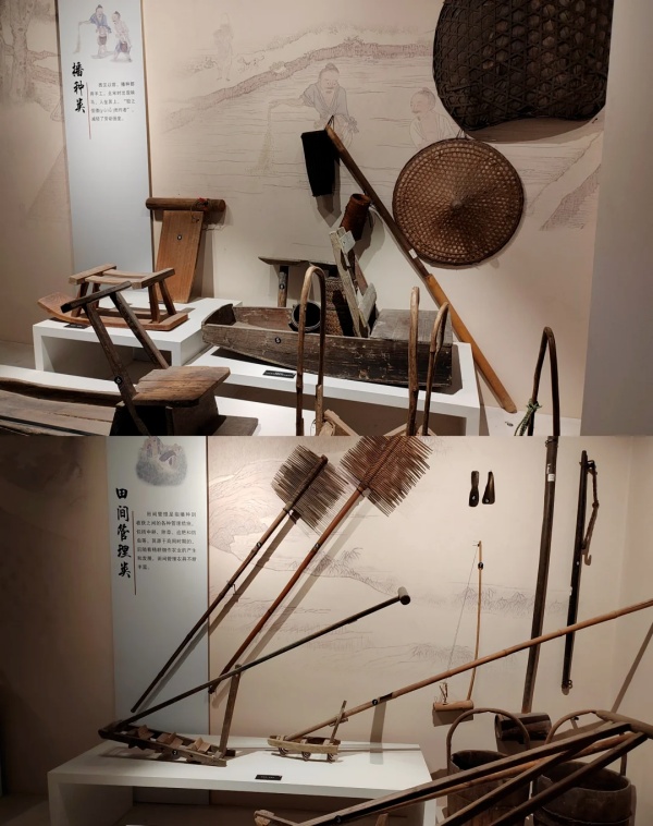 華南農(nóng)業(yè)博物館——大地文明的詩篇