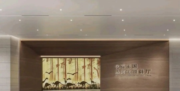 化石王國——熱河生物群展廳設(shè)計